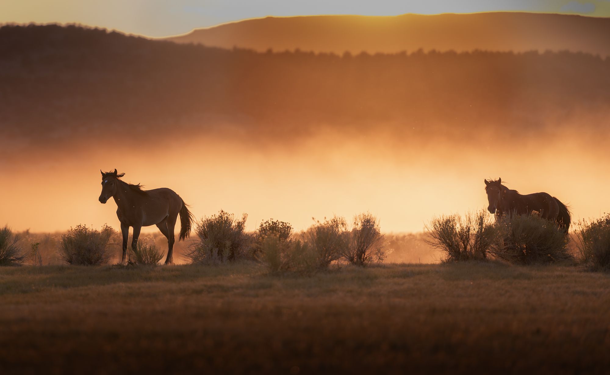 Look Up:Clothed in Light